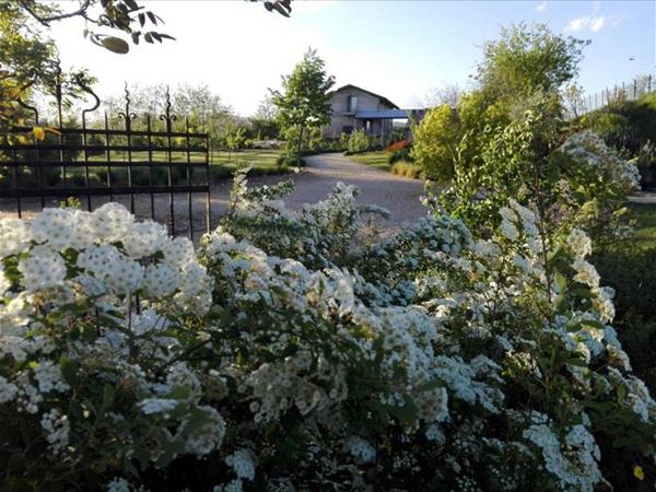 Florario B&B - Piemonte, Chieri (TO)