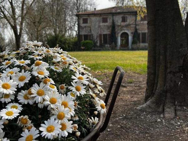 Agriturismo Corte San Girolamo - Mantova (MN)