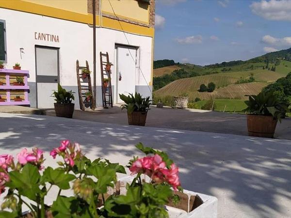 Cascina Angelina - Casteggio (PV)