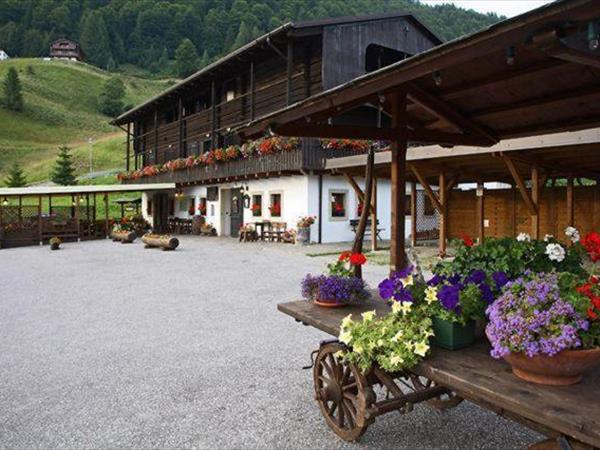 Albergo Riglarhaus - Sauris (UD)