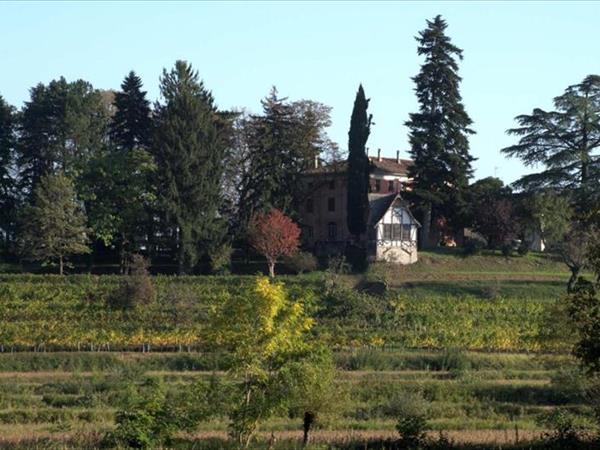 Casali del Picchio - Winery - Cividale del Friuli (UD)