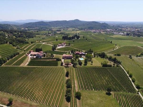 Tenuta Perusini - Corno di Rosazzo (UD)