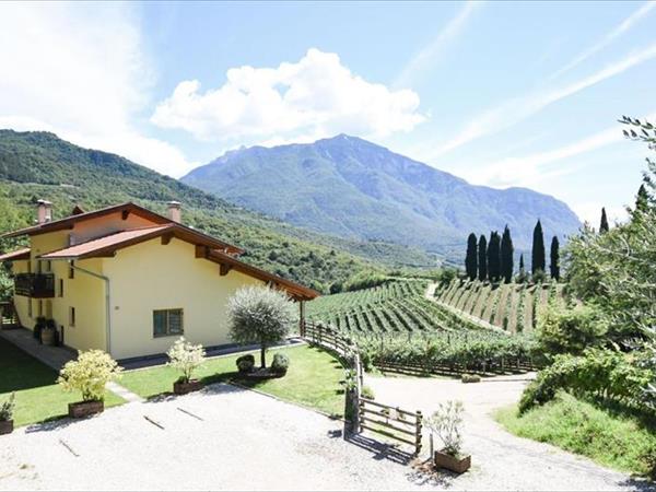 Agritur Casteller - Trento (TN)