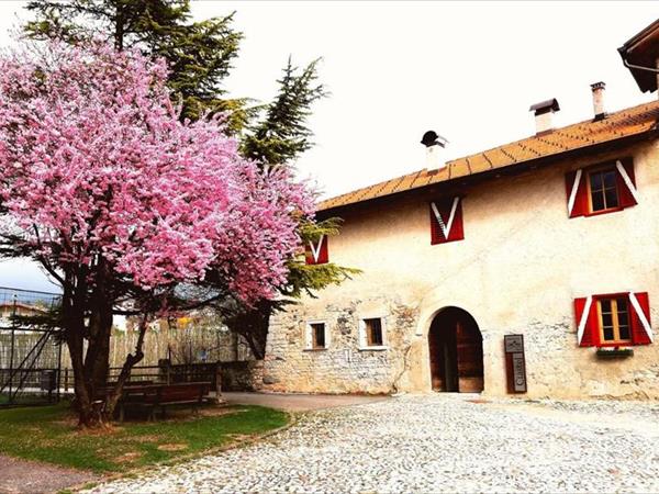 Agritur Ciastel