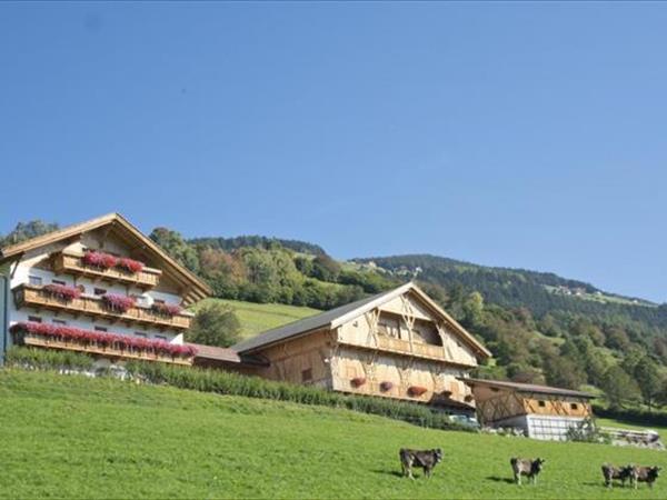 Oberbaumgartnerhof - Agriturismo Plan de Corones, Falzes (BZ)