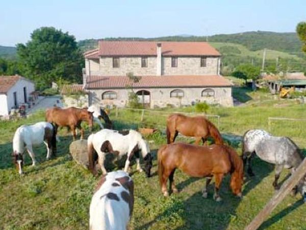 Agriturismo Tenuta S. Agnese