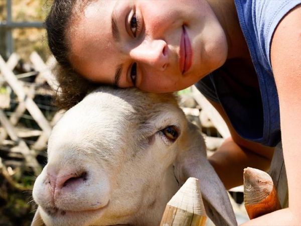 Agriturismo La Dogana - Tuoro sul Trasimeno (PG)