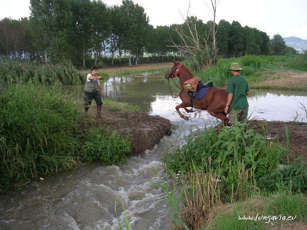 Agriturismo Il Bottaccino