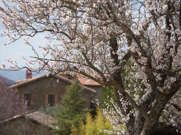 Agriturismo Guinzano