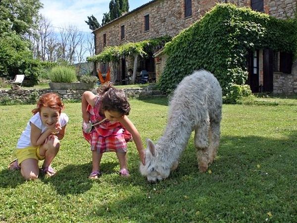 Agriturismo Maridiana Alpaca