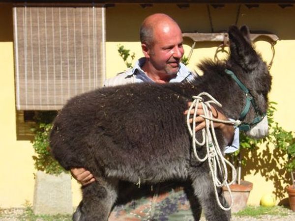 Podere Il Poggiolo