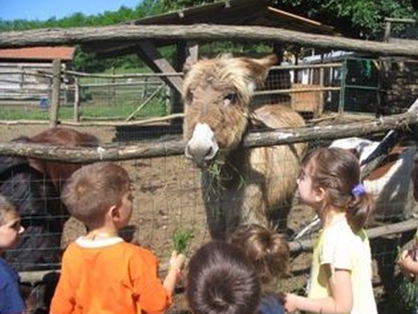 Parco Campofelice - Lombardore (TO)