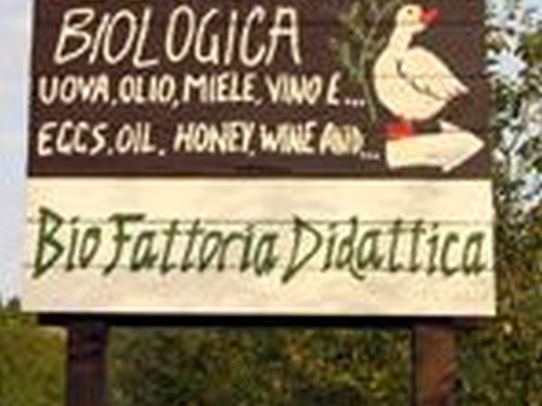 La Fattoria di Valentina