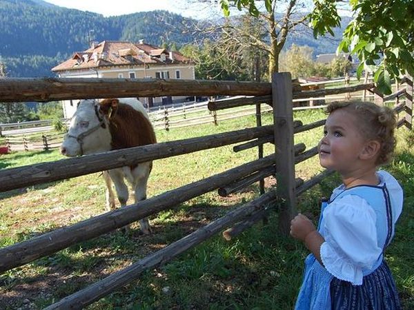 Agriturismo Maso Corradini - Castello-Molina di Fiemme (TN)