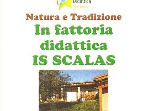 Is Scalas - Fattoria Didattica - Assemini (CA)