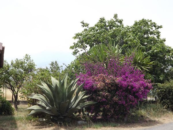 La stella di naxos - Giardini Naxos (ME)