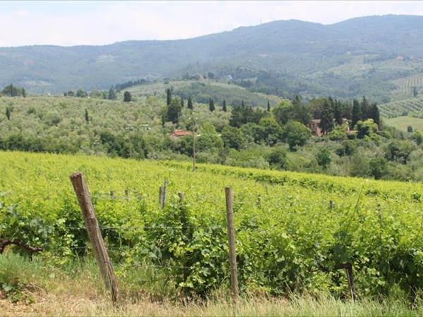 Agriturismo la Cascianella - Bagno a Ripoli (FI)