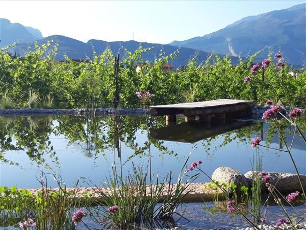 Agritur Fiore d’Ulivo