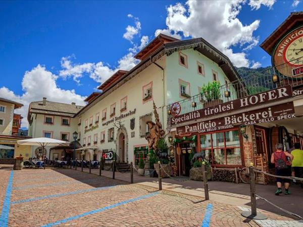 Family hotel Garni Snaltnerhof  - Ortisei (BZ)