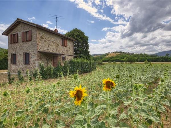 Agriturismo Gli Arrighi - Umbria, Umbertide (PG)