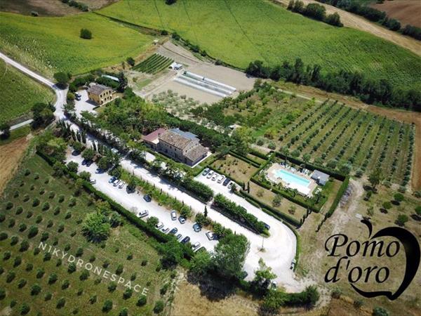 Agriturismo Pomod’oro - Torre San Patrizio (FM)