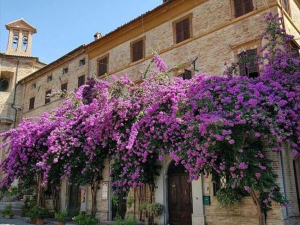 ATTICO SULLA BOUGANVILLE (Albergo diffuso)