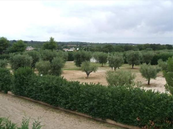 Locazione turistica Green Park - Martina Franca (TA)