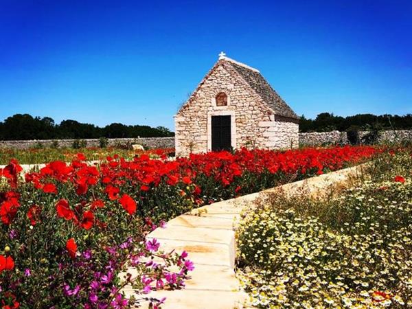 Masseria Nicola Casavola Country Resort