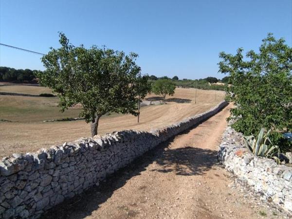 Masseria Catucci Agriturismo