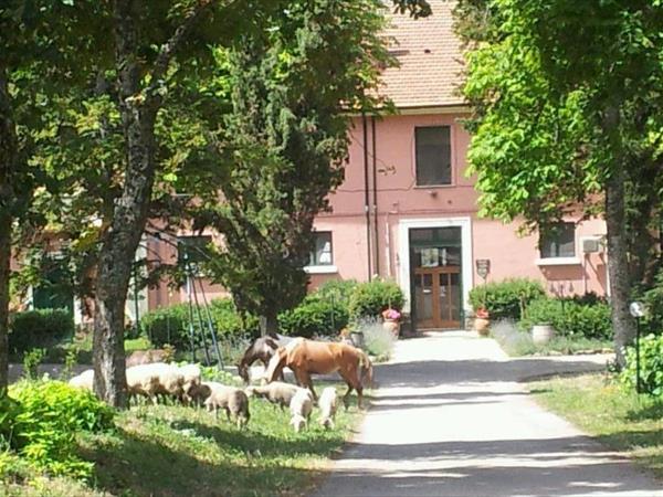 Country House Villa delle Rose Agriturismo - Basilicata, Rionero in Vulture (PZ)