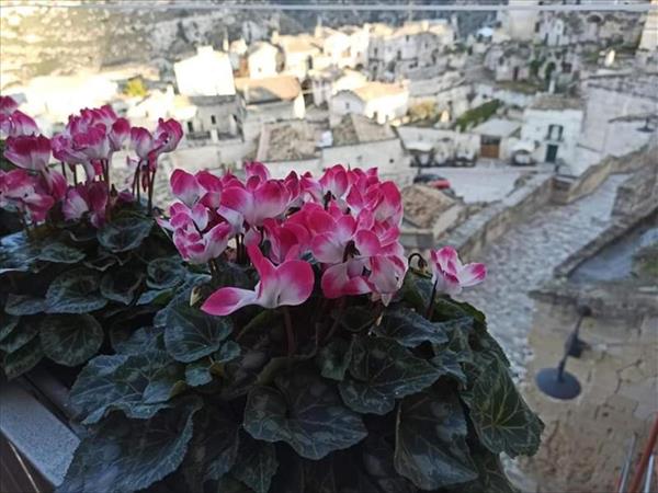 Slow Living B&B - Matera (MT)