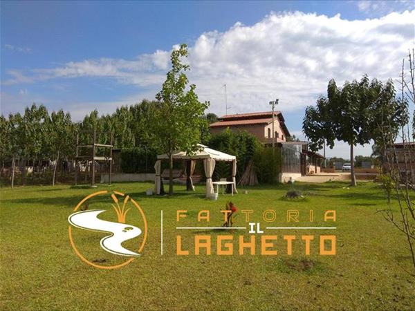 Fattoria Il Laghetto - Lamezia Terme (CZ)