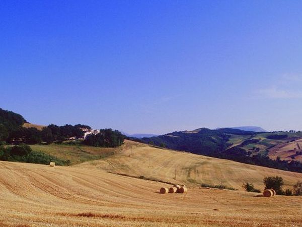 Agriturismo Il Fienile di Cà Battista