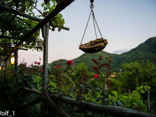 Agriturismo Il Tintore