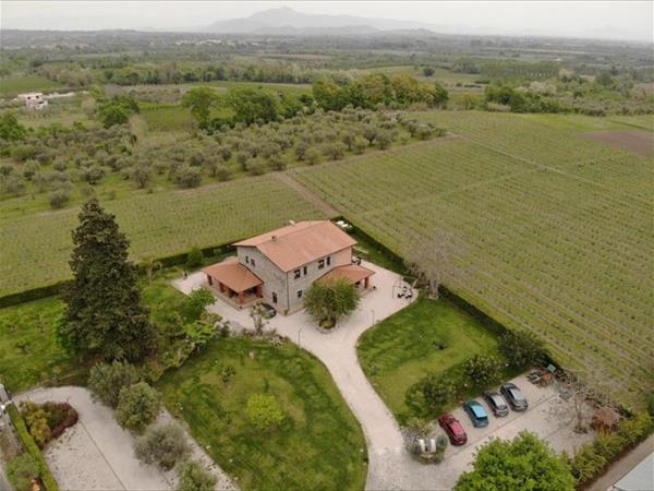 Masseria Campierti - Falciano del Massico (CE)