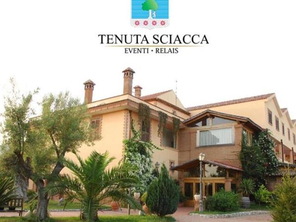 Tenuta Sciacca - Falciano del Massico (CE)