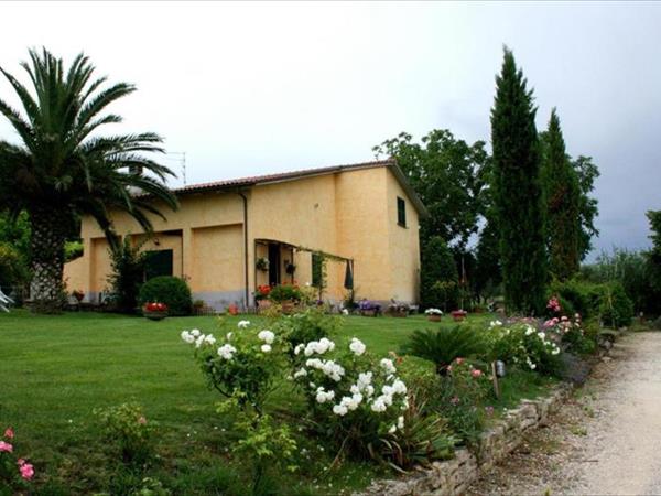 Agriturismo Santa Maria - Lazio, Marta (VT)