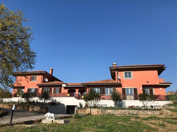 B&B Bee - Frascati (RM)