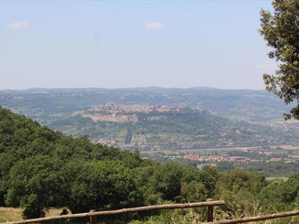 Agriturismo Fattoria Poggio Boalaio - Orvieto (TR)