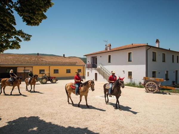 Fattoria Didattica La Collina Incantata