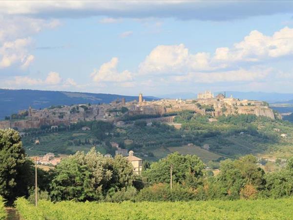 Agriturismo Borgo Pirolino - Orvieto (TR)