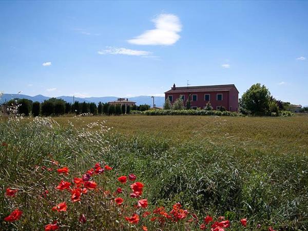 TORRE QUADRANA - Spello (PG)