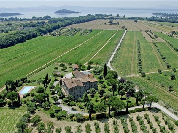 La Fattoria del Rio di Sopra - Agriturismo Baldeschi - Tuoro sul Trasimeno (PG)