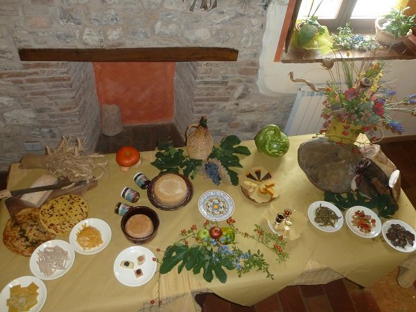 Agriturismo Biologico Pieve del Colle - Fattoria Didattica - foto 8117.jpg