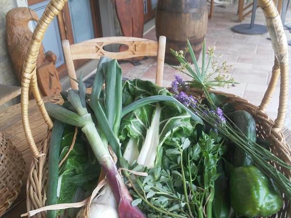 Agriturismo Lucatello  - foto 8482.jpg