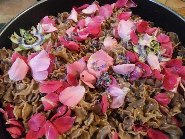 Agriturismo Lucatello  - foto 8490.jpg