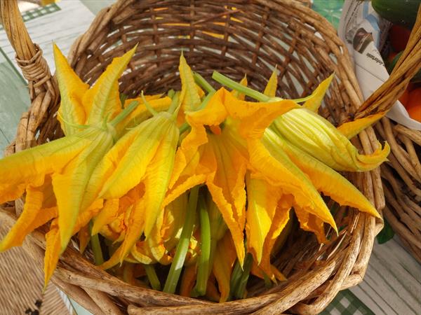 Agriturismo I Girasoli - foto 8599.jpg