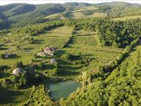 Agriturismo Podere Tegline